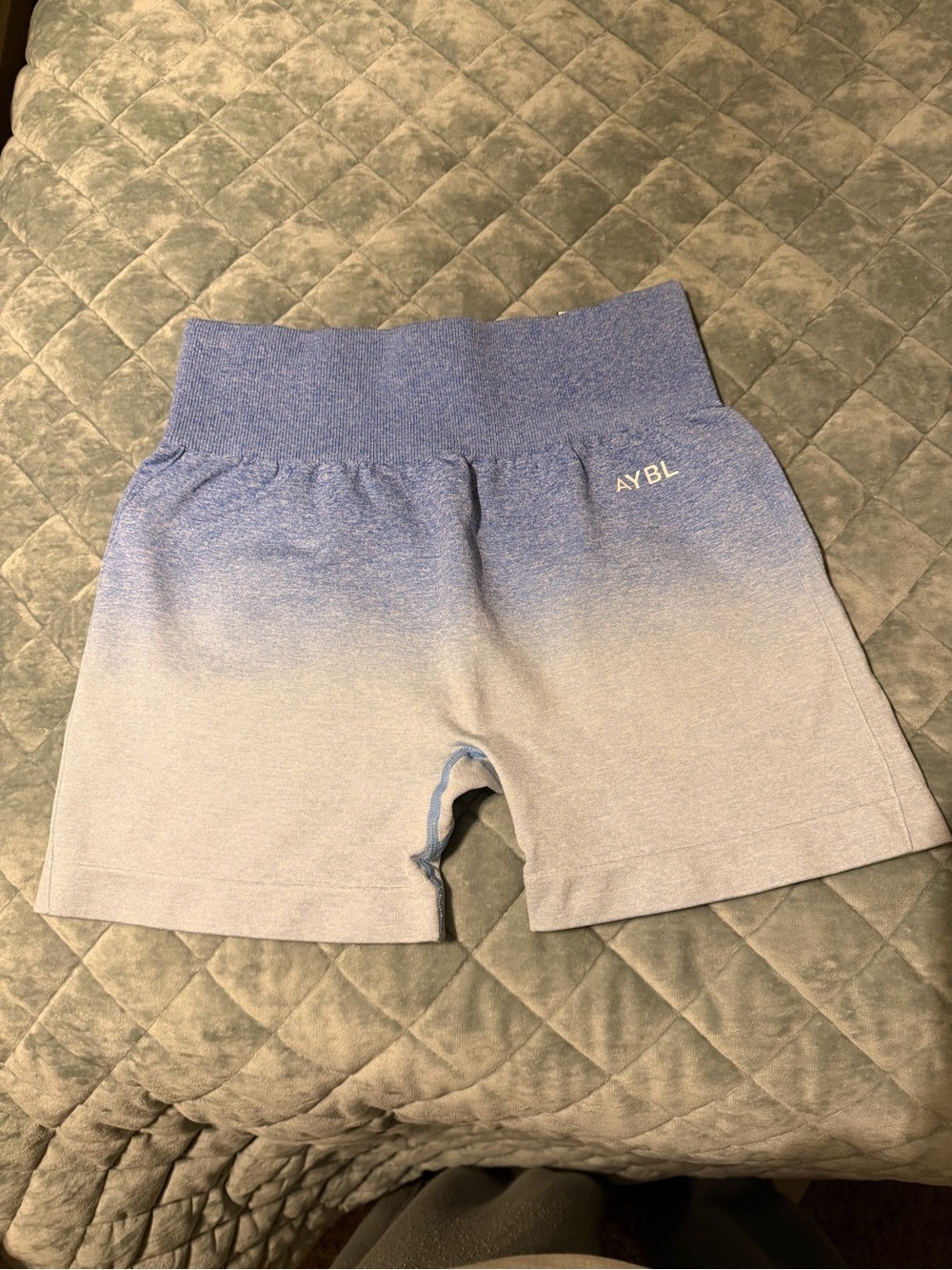 AYBL Pulse Ombré Seamless shorts - size M